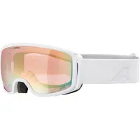 Alpina Masque de ski
