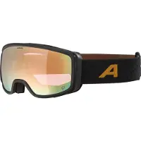 Alpina Masque de ski