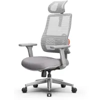 Longer Newtral H003 Chaise de bureau ergonomique, chaise de bureau à dossier haut avec soutien lombaire adaptatif unique, appui-tête réglable Gris