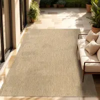 Paco Home In & Outdoor Tapis tissé plat uni moderne résistant aux intempéries pour terrasse cuisine Dimension 300x400 cm