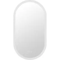 Happyment Miroir de salle de bain ovale LED Grandiose - Avec éclairage - 50x100?cm - Salle de bain - Montage mural - Lumière variable