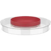 Mepal Chef it bol à mélanger couvercle anti-projections bol à mélanger chef it 3000 ml - coral Ø223 x 37 102308576900