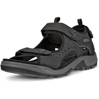 Ecco Offroad Andes II Sandal Sandales Mules en cuir 822044-12001