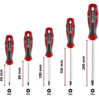Einhell Accessories Schraubendr. Satz PZ 5-tg