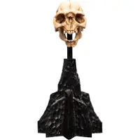 Weta Workshop Miniaturowa Czaszka Orca z Moria 13 cm -