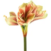 Viana Fleur d'amaryllis artificielle Rose Jaune 66 cm - Décoration & idée cadeau pour espaces modernes