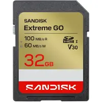 SanDisk Carte Mémoire Extreme Go 1 32gb