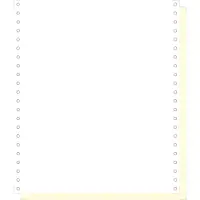 Exacompta - Blanc, jaune - 240 x 279 mm 1000 feuille(s) papier en accordéon 2 couches