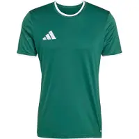 Adidas T-Shirt fonctionnel 'ENT26' vert / blanc