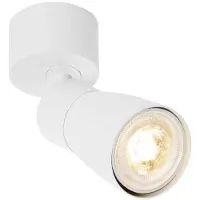 SLV Spot monté en surface Puri 2.0 Dome blanc simple