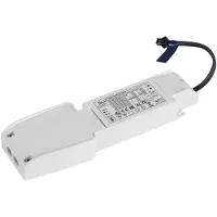 SLV 21 W Led Driver 350 mA