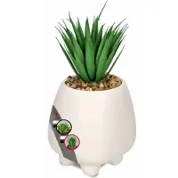 Kadax Succulentes "Rouy", petite plante artificielle avec pot, 1 pièce, blanc, 10,5 cm