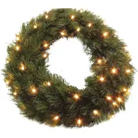 Edelman Triumph Tree LED Couronne de Noël Forest Frosted 72 LED blanc chaud extérieur 60 cm vert