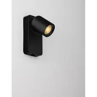 Lyora Spot mural Cosmina noir
