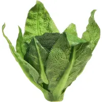 Viana Brocoli artificiel Déco Légumes Real-Touch Vert Ø12cm H15cm