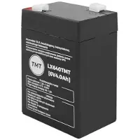 Lamex Batterie au gel 6V 4Ah