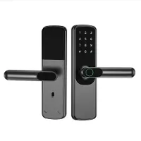 INF Serrure de porte intelligente grise - Accès via application, mot de passe, carte et clé