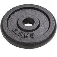 vidaXL Disques d'haltères 8 pièces 8x2,5 kg en fonte