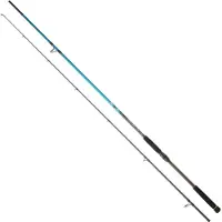 Daiwa Canne Spinning Spitfire Seabass