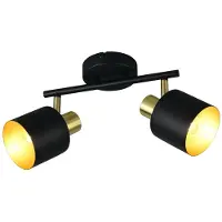 TRIO Plafonnier Eva 2 lumières noir avec or
