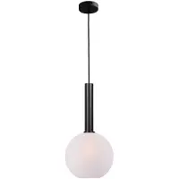 Masterlight Lampe suspendue Ø 25cm Bella 2 Noir avec verre blanc mat