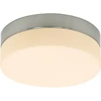Steinhauer LED plafonnier Ceiling 22cm 2950K gris métal