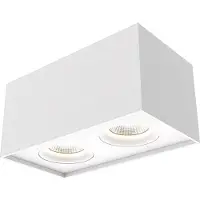 Lyora Spot double LED apparent Iblocc blanc