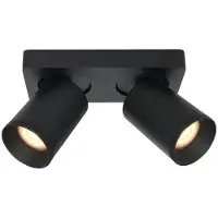 Artdelight Plafonnier Mega 2 lumières noir