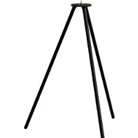 In-Lite Tripod 2
