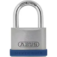 ABUS Cadenas 5/40 Silver Rock