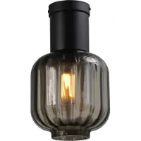 Masterlight Lampe de plafond Lett lll 20cm noir avec verre fumé