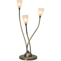 Masterlight Lampe de table LED Molto 2 LED