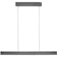 Paul Neuhaus Lampe suspendue design Pure E-Motion Motif