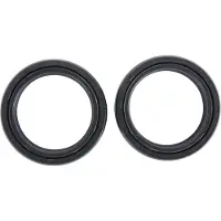 All Balls Racing 41 X 54 X 11 Abr 55-119 Fork Oil Seal Kit Argenté