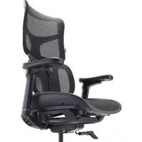 Sihoo Doro S100 (44 - 52 cm)
