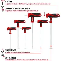 Einhell Accessories T-Griff Schraubendr.Satz 6tlg (Clé Allen)
