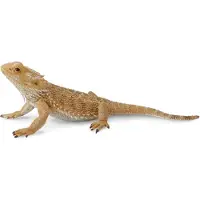 Collecta Lézard barbu L - Figurine d'animal