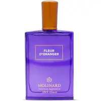 Molinard Fleur d'Oranger Eau de Parfum mixte 75 ml