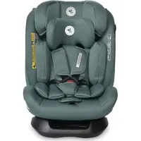 Lorelli Siège enfant Scorpius i-Size (Reboarder)