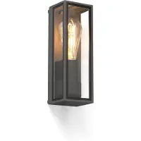 Faro Applique extérieure TAMASHI IP65 gris foncé