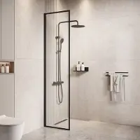 Badplaats Paroi de Douche Georgia - 40 x 200 cm - Noir - 8 mm -