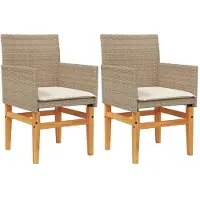 vidaXL Chaises de jardin avec coussins 2 pcs. Beige Poly Rotin Massif