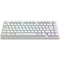Dark Project Aluminum Terra Nova (Blanc) Clavier de jeu mécanique sans fil 75% (FR) [ISO]