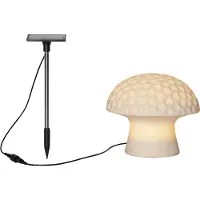 Star Trading Lampe solaire « Sandy », champignon en grès, capteur crépusculaire, blanc naturel, H 15 cm