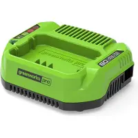 Greenworks Chargeur 60 V 2 A G60UC - 2932007