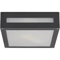 LUCANDE Nerea d'Extérieur Plafonnier Graphite - Lucande