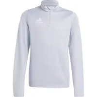 Adidas T-Shirt fonctionnel 'Entrada 26' gris argenté