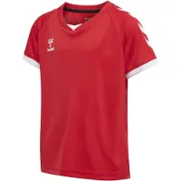 Hummel T-Shirt fonctionnel 'Core' rouge / blanc