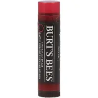 Burt's Bees Baume à lèvres marguerite teinté 0,15 once (Stick de soin des lèvres, 4 g)