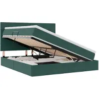 vidaXL Lit coffre à LED avec matelas, vert foncé, 180 x 200 cm, velours